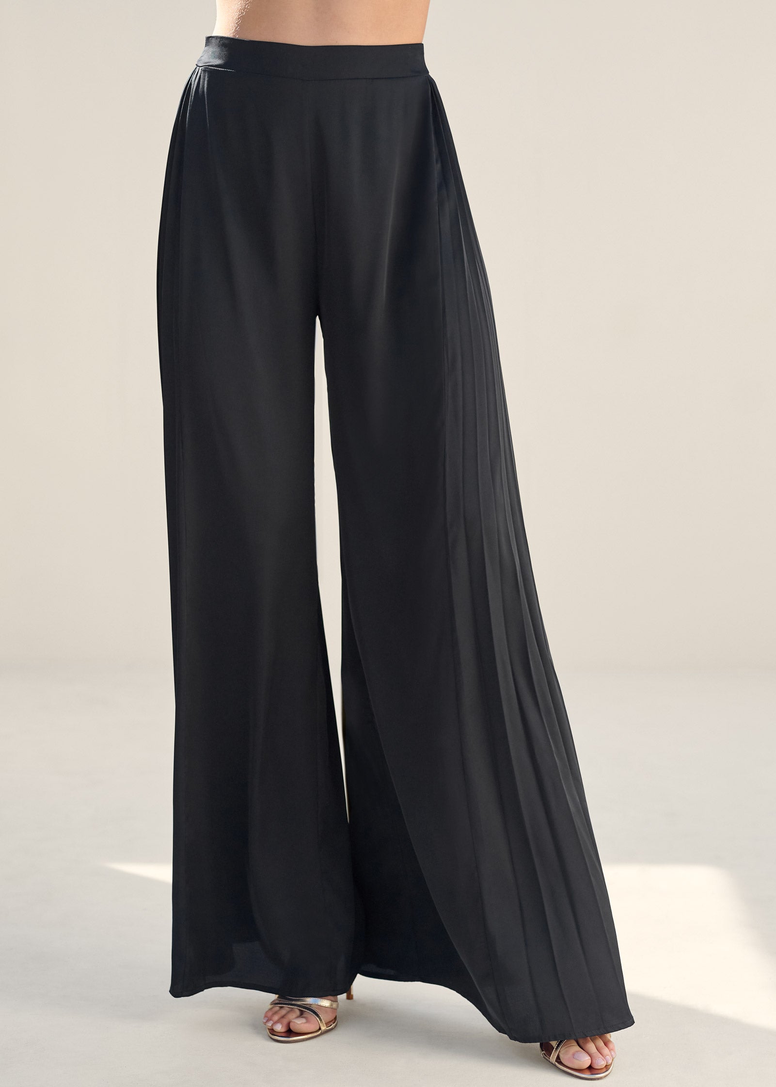 Side Pleat Wide Leg Pants - Jet Black